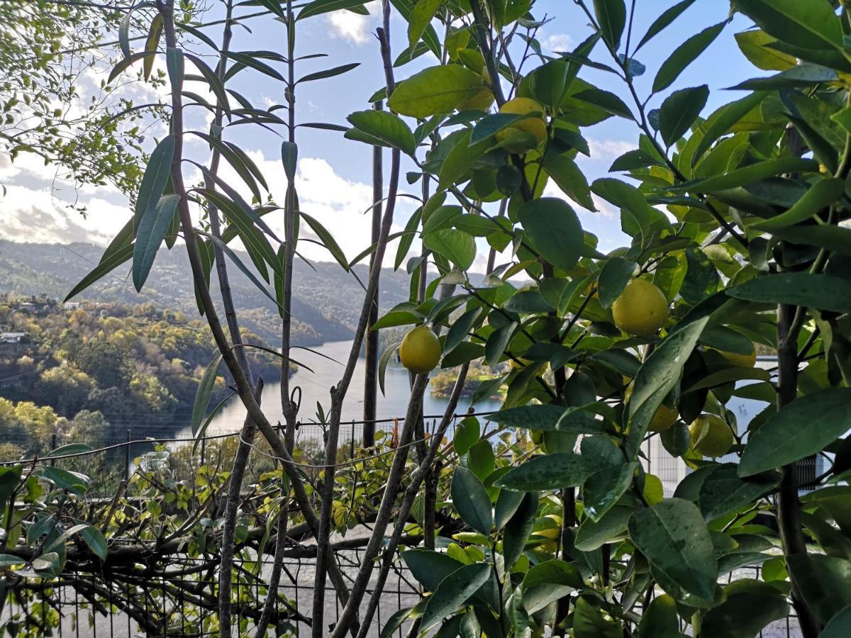 Casa De Boucas Villa São Pedro Dış mekan fotoğraf